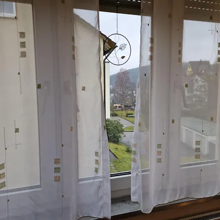 Near Triberg Waterfall Apartment *