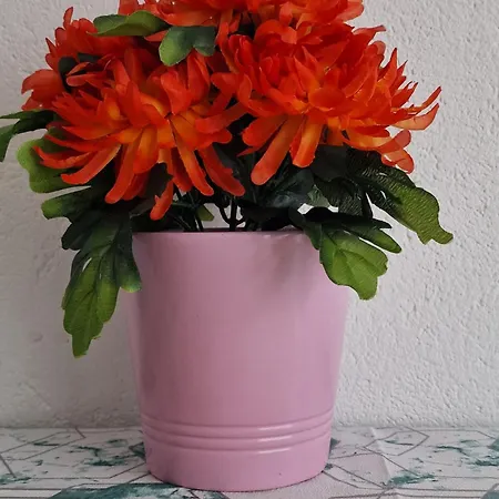 Apartamento Near Triberg Waterfall *