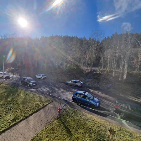 Near Triberg Waterfall * Triberg im Schwarzwald