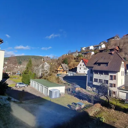 Near Triberg Waterfall *