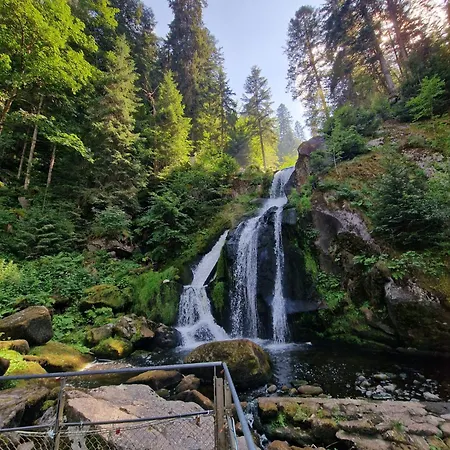 Near Triberg Waterfall * Triberg im Schwarzwald