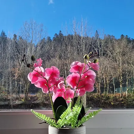 Apartment Near Triberg Waterfall Triberg im Schwarzwald