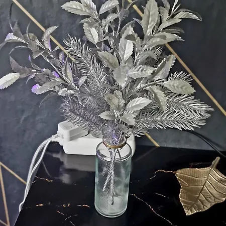 Near Triberg Waterfall *