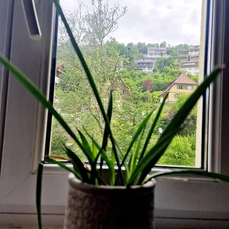 Near Triberg Waterfall Apartamento