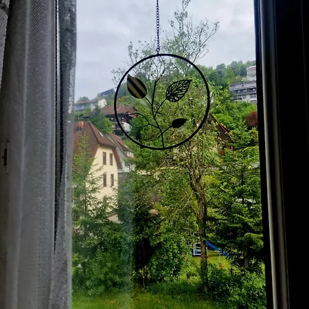 Apartamento Near Triberg Waterfall *