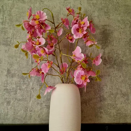 Apartamento Near Triberg Waterfall