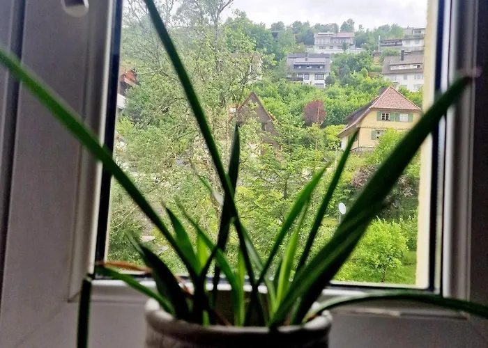 Near Triberg Waterfall Lägenhet