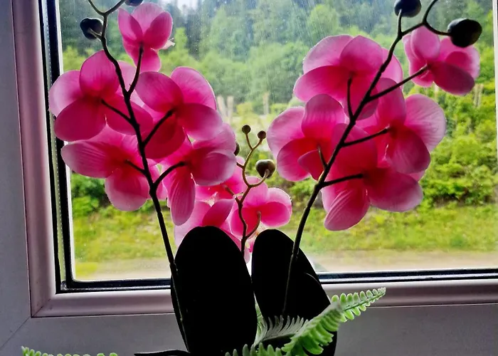 Near Triberg Waterfall Triberg im Schwarzwald